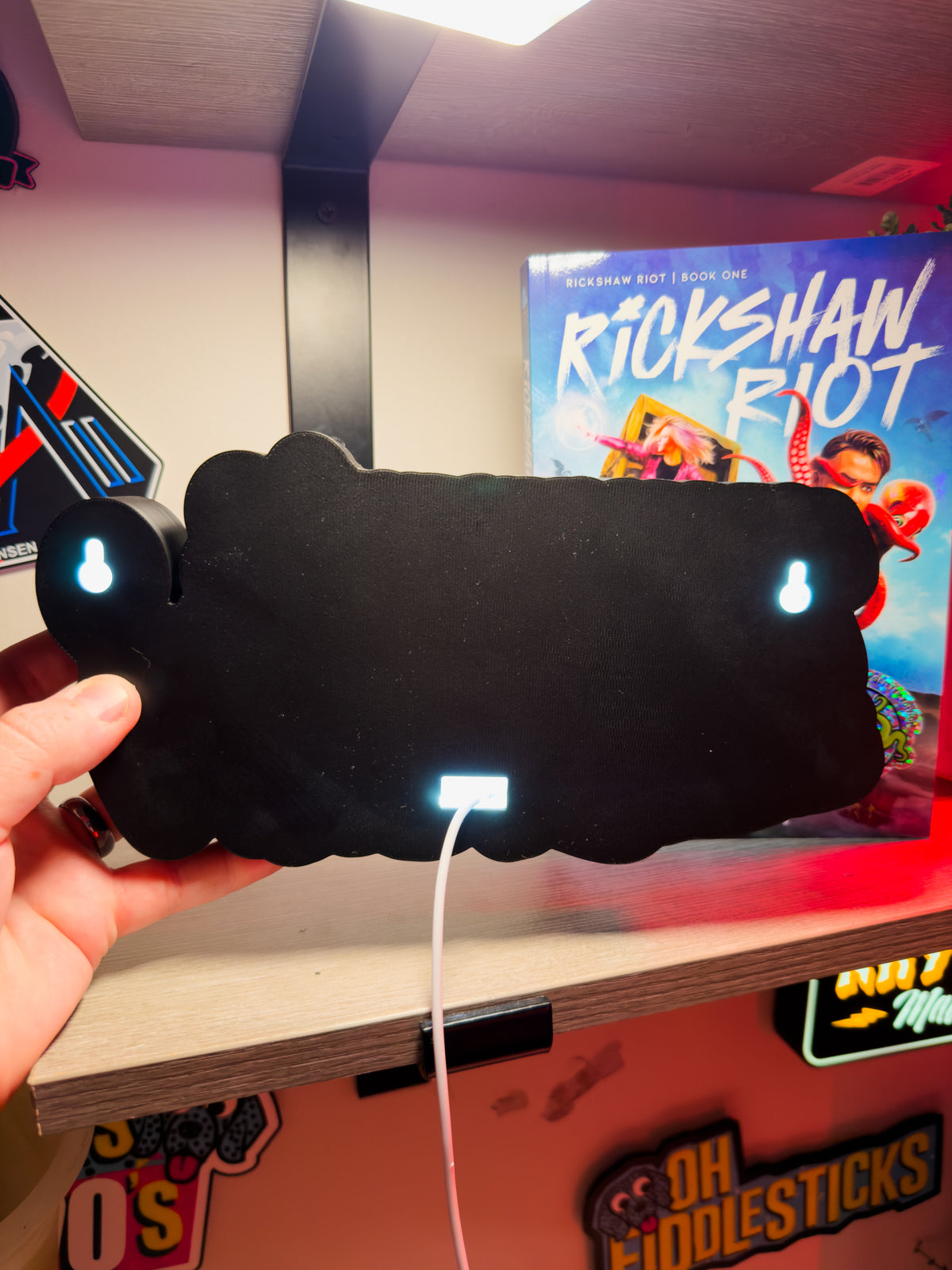 Rickshaw Riot Lightbox