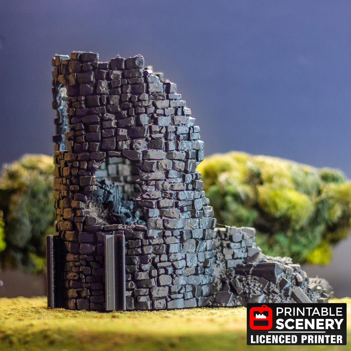 Ruined Counts Tower