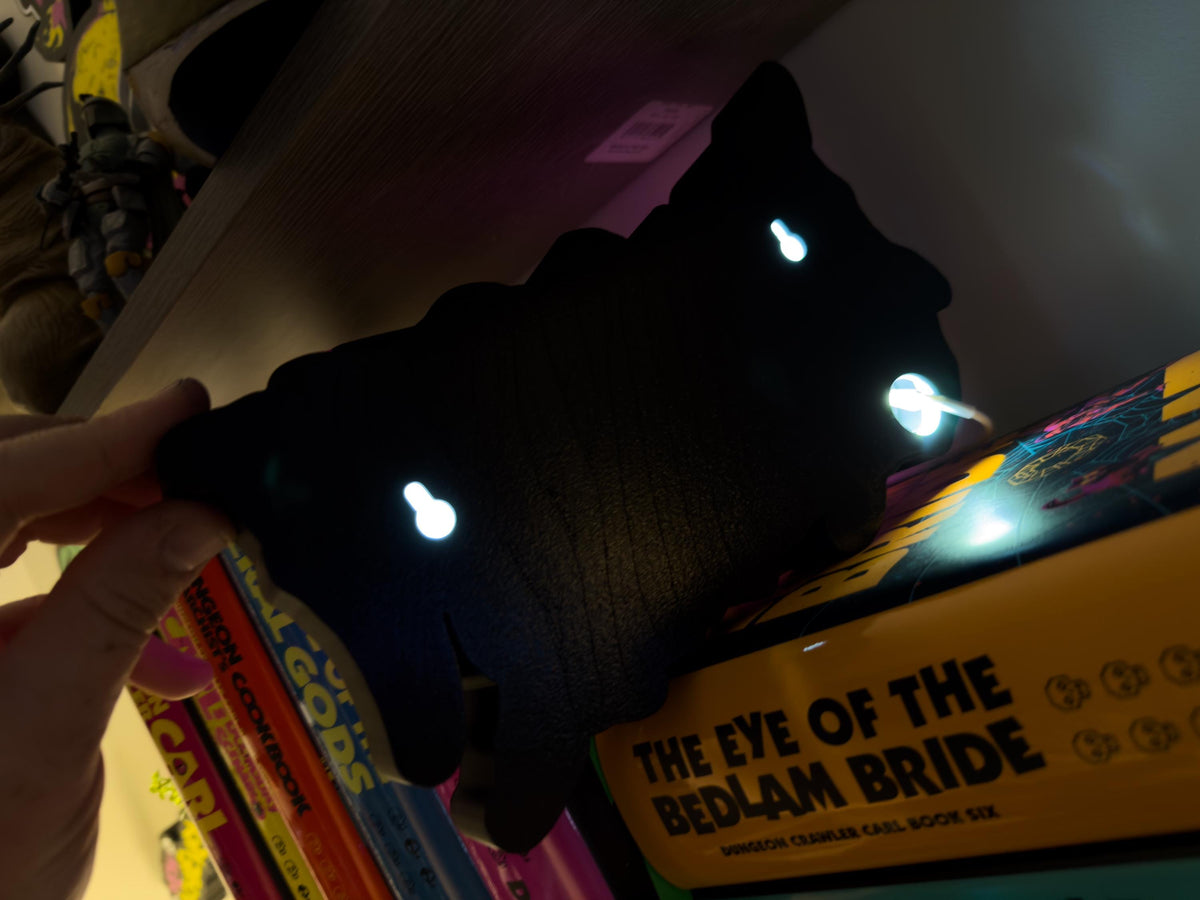 Dungeon Crawler Carl LED Lightbox — Princess Donut & Carl